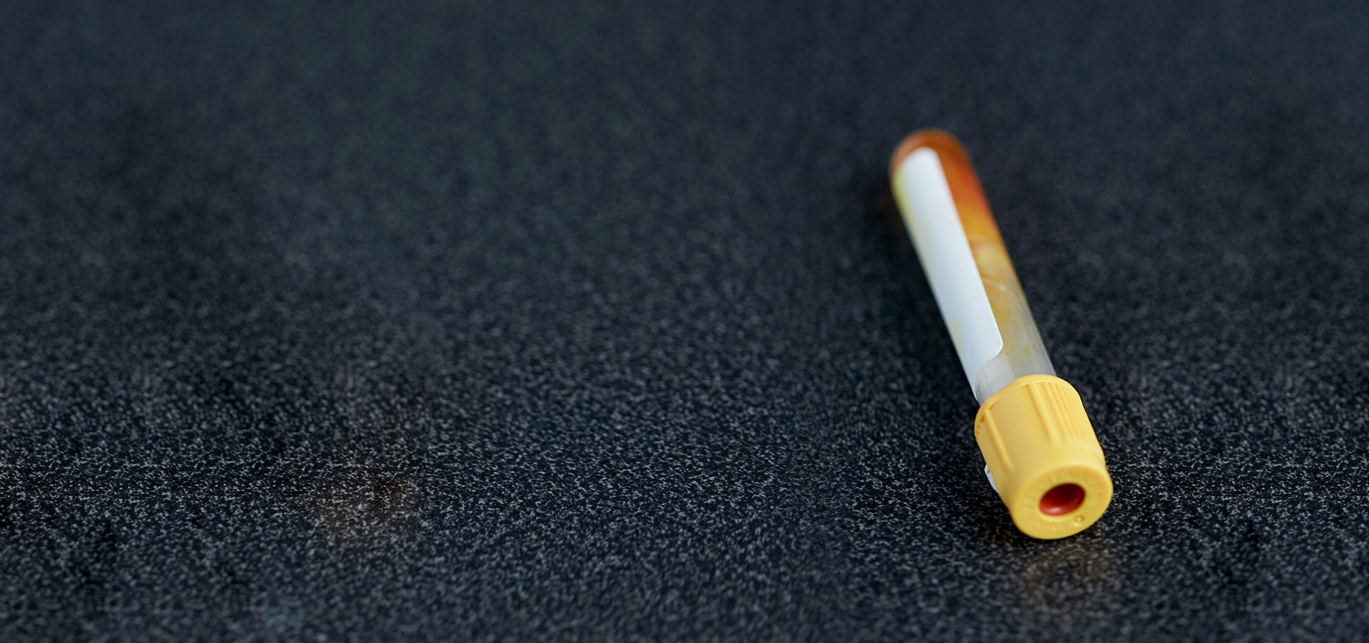 Your Lab, Our Commitment